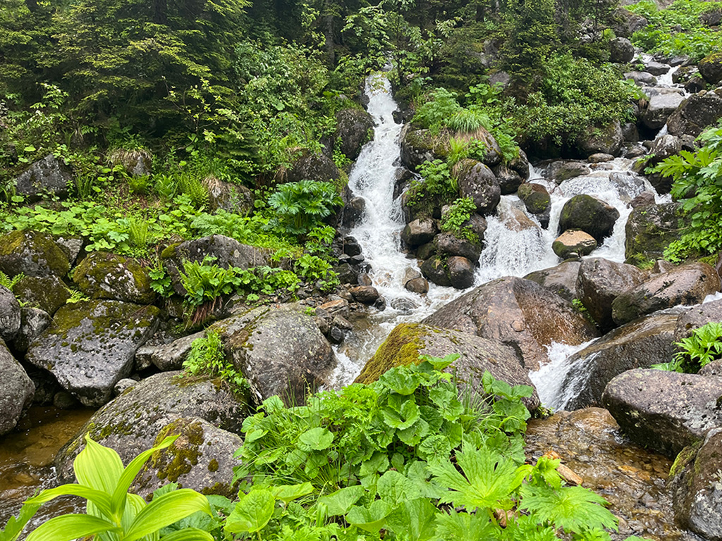 Foto 1