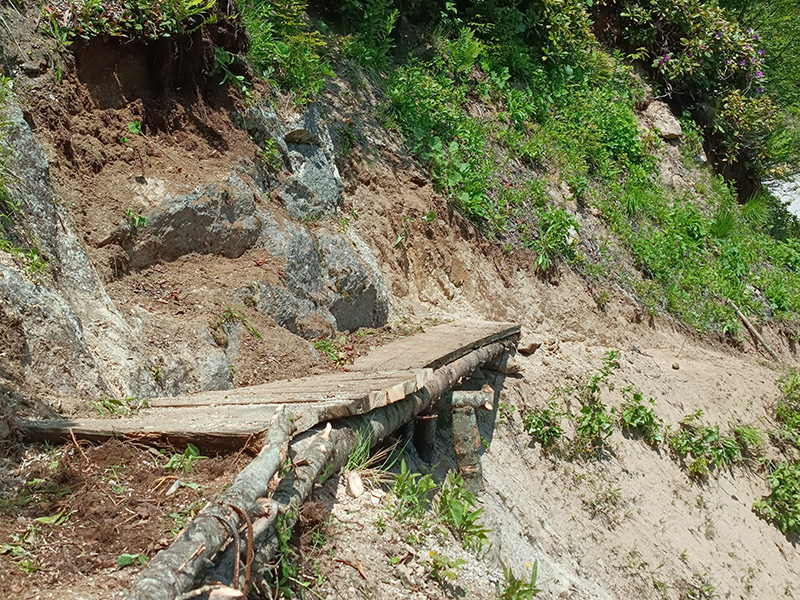 Koşu