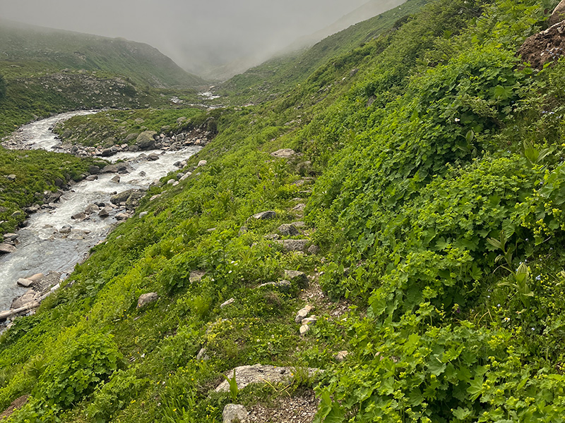 Koşu