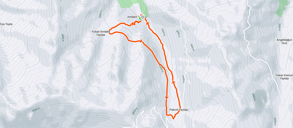 Y07